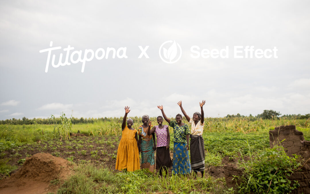 New Partnership | Seed Effect x Tutapona!