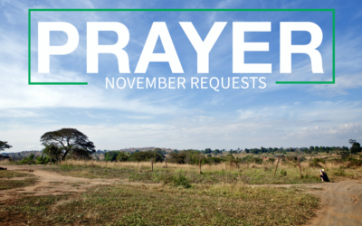 November 2024 Prayer Requests