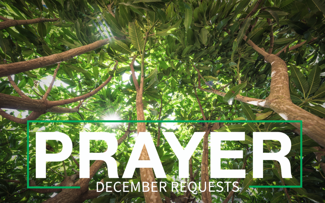 December 2024 Prayer Requests