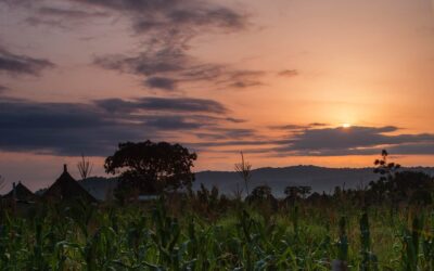 I Witness Miracles Every Day: A Letter from South Sudan